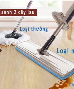 Cay-lau-nha-thong-minh